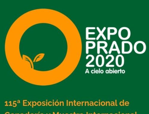 GRAN RETORNO DEL PABELLÓN ITALIA A LA EXPO PRADO 2020