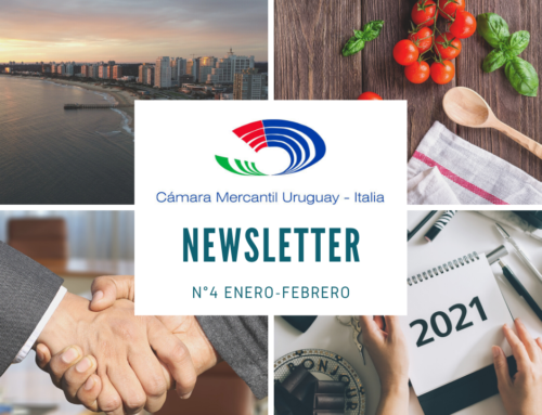 Newsletter 4 enero febrero 2021