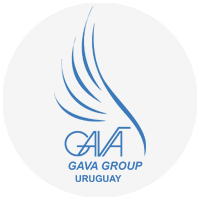 Sr. Silverio Miselli